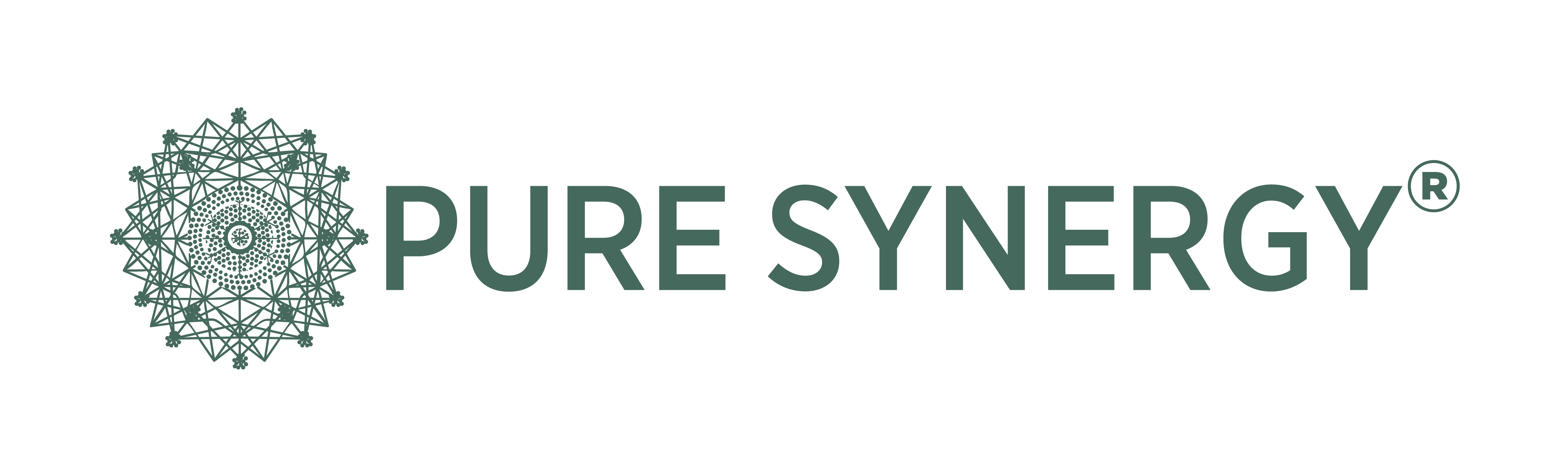 Pure Synergy logo